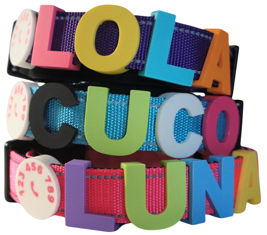 Collares de perro personalizados en colores